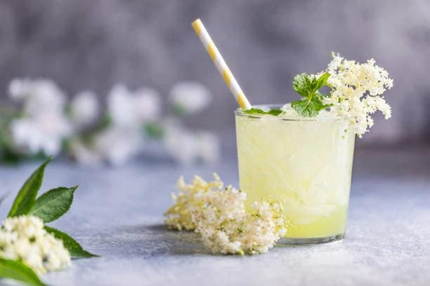 Bodza limonádé mentával és citrommal recept fotója